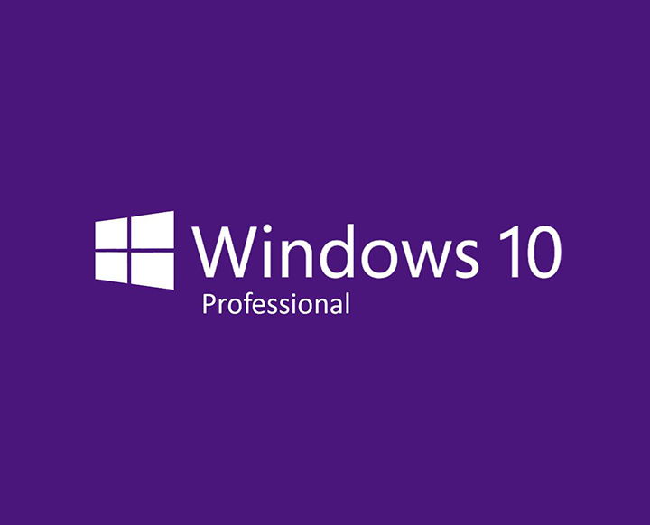 <p>Windows 10 Pro / 11 Pro</p>